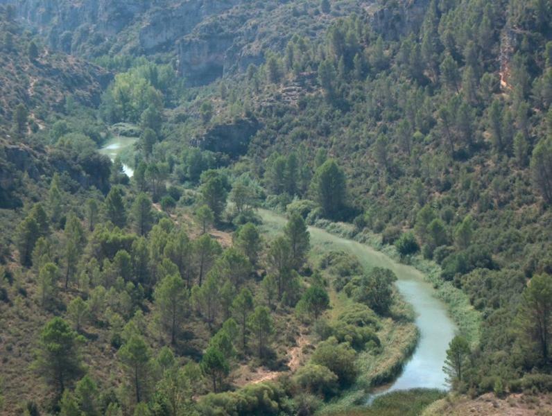 Casa Rural Parajes Del Jucar Casas de Benítez エクステリア 写真