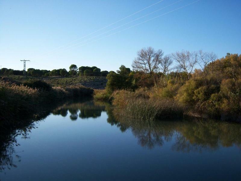 Casa Rural Parajes Del Jucar Casas de Benítez エクステリア 写真