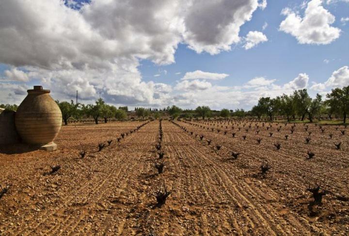 Casa Rural Parajes Del Jucar Casas de Benítez エクステリア 写真