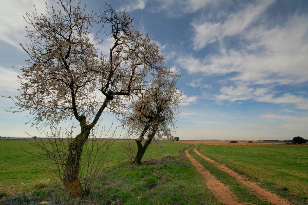 Casa Rural Parajes Del Jucar Casas de Benítez エクステリア 写真
