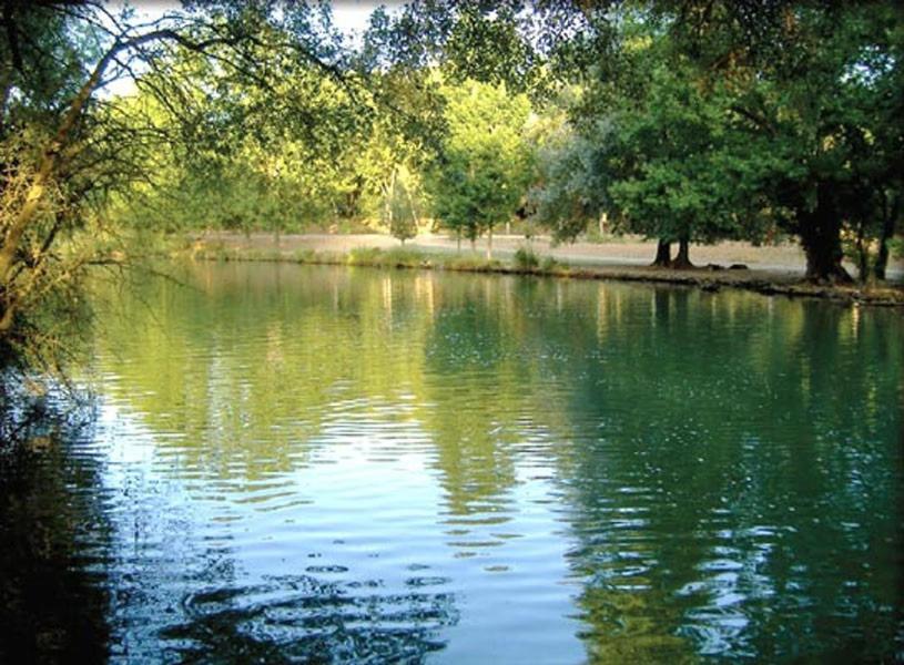 Casa Rural Parajes Del Jucar Casas de Benítez エクステリア 写真